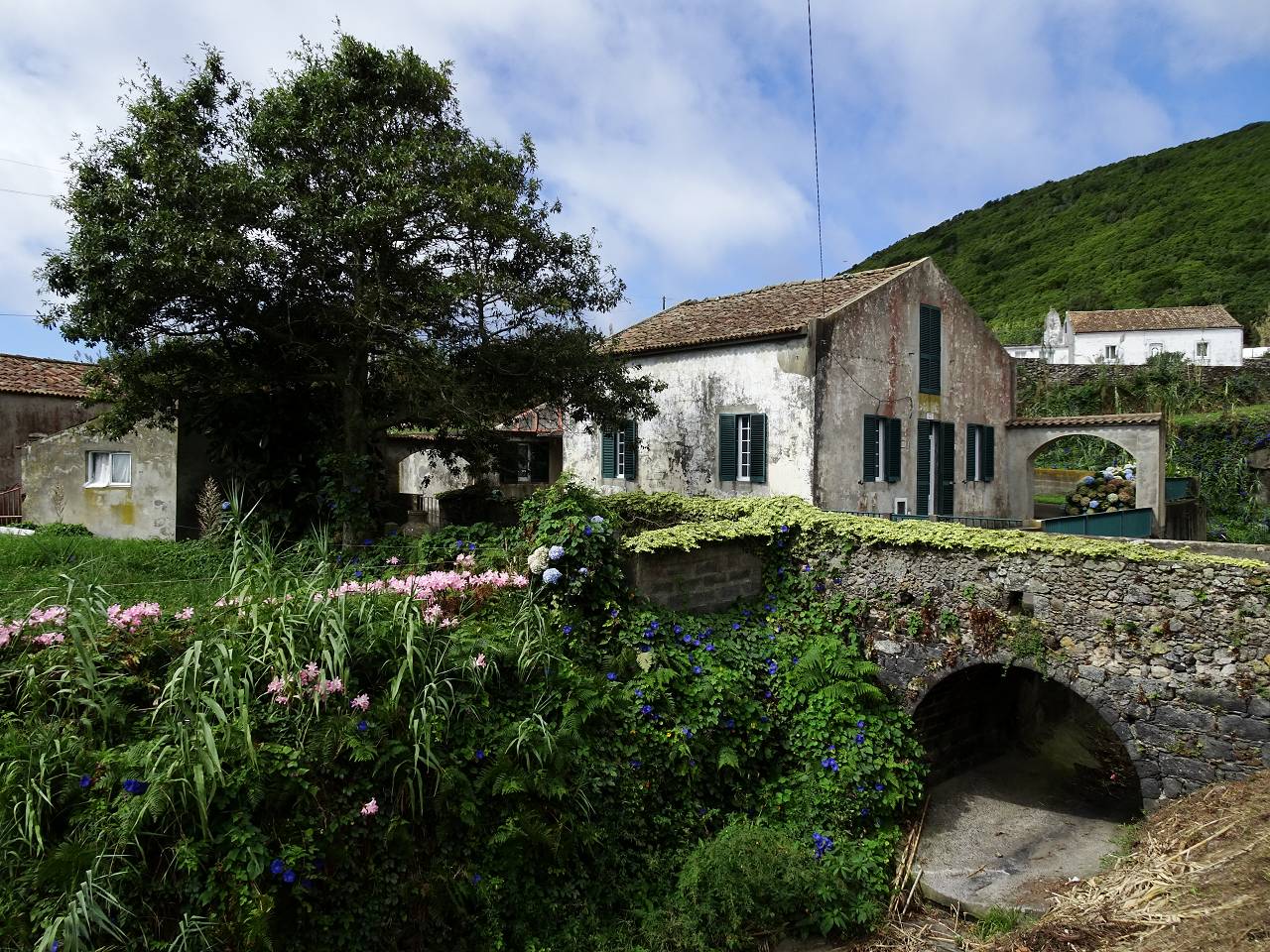 DSC02674_%281280_x_1024%29