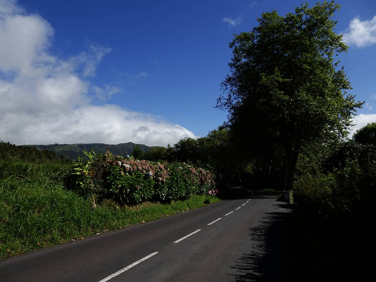 DSC02783_%281280_x_1024%29