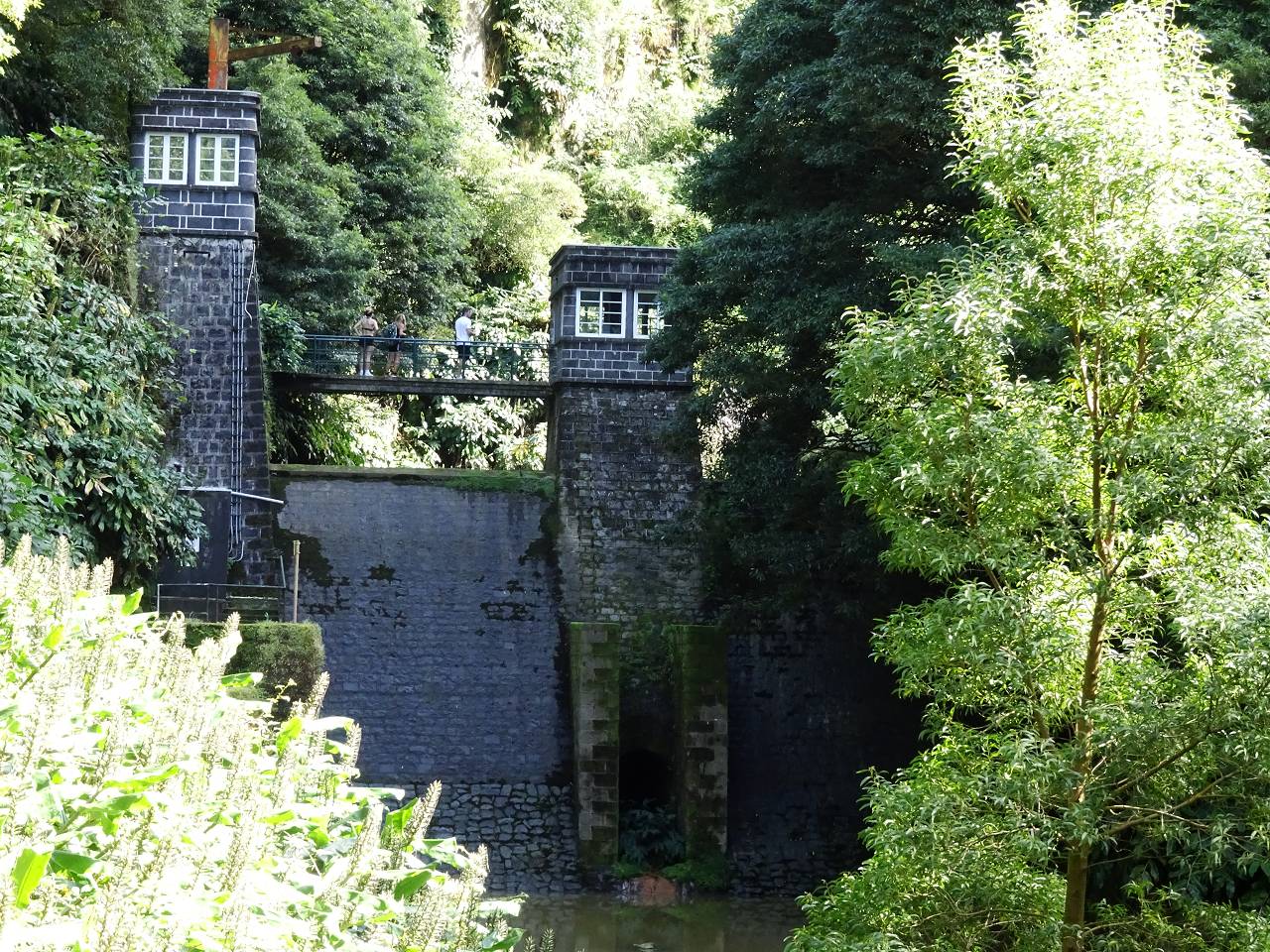 DSC03120_%281280_x_1024%29