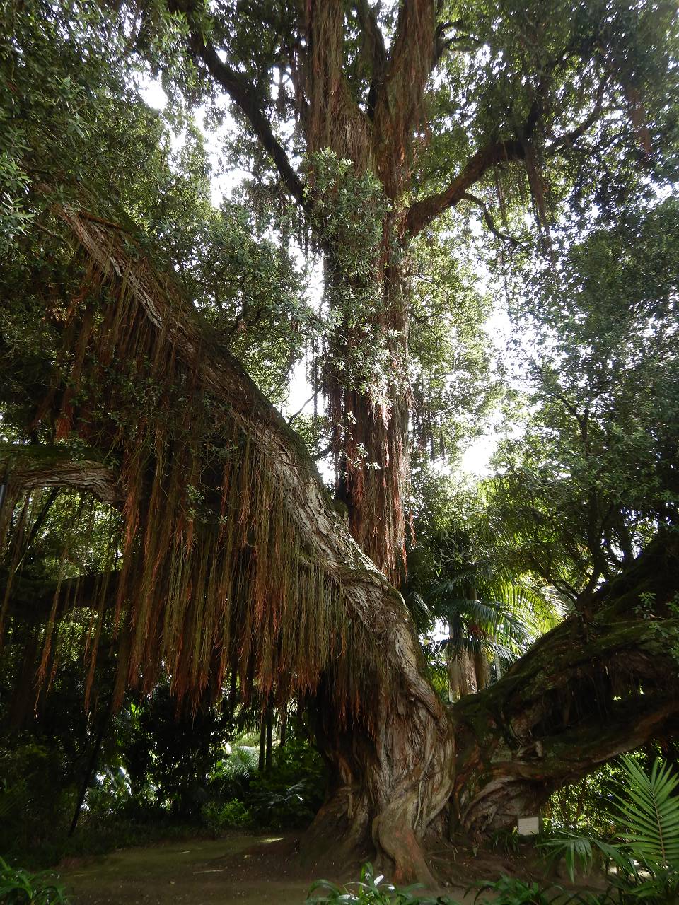 DSCN1059_%281280_x_1024%29