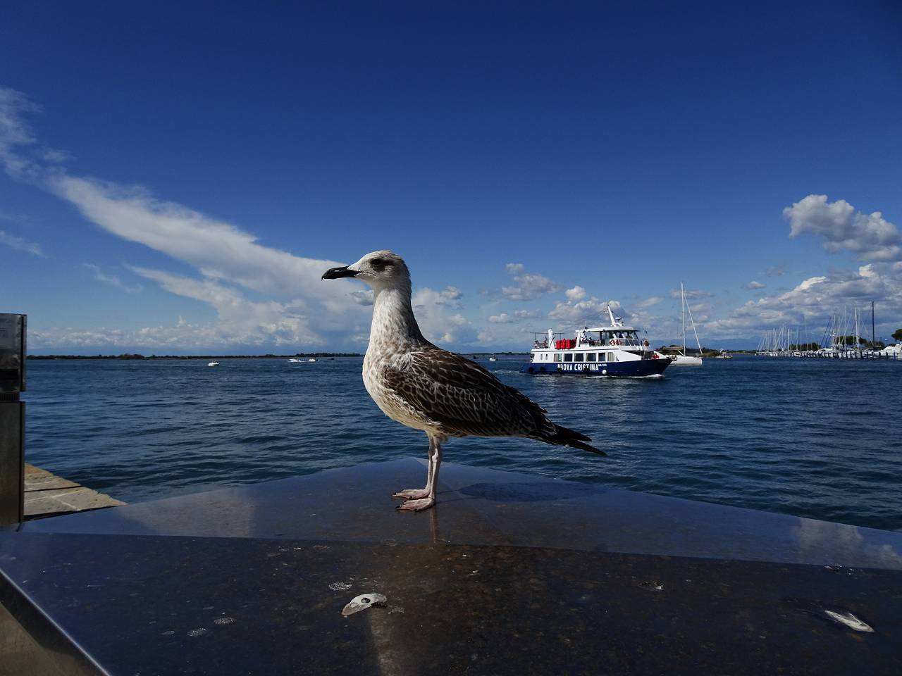 DSC00669_%281280_x_1024%29