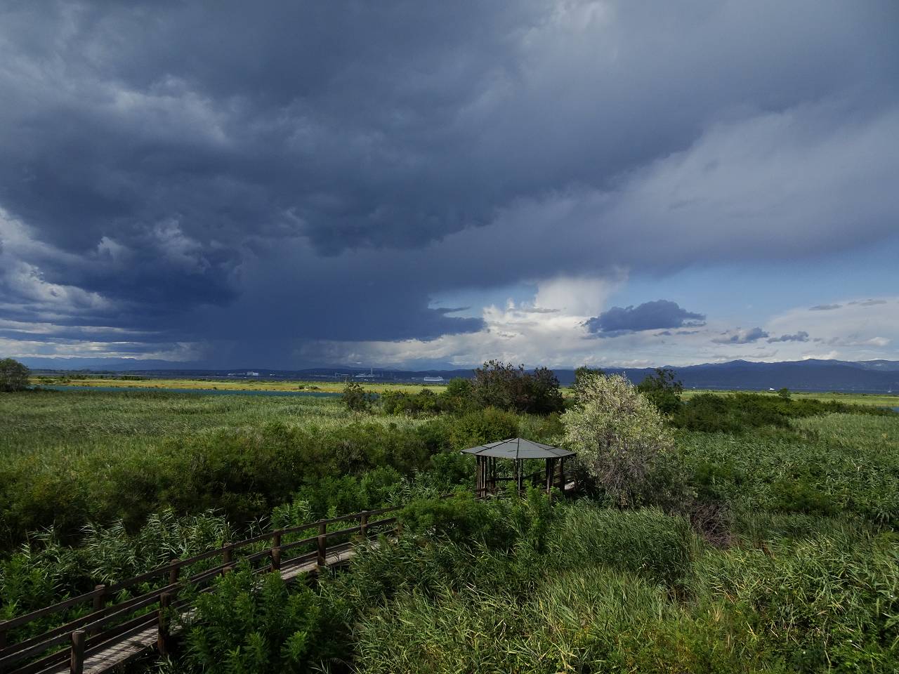 DSC00704_%281280_x_1024%29