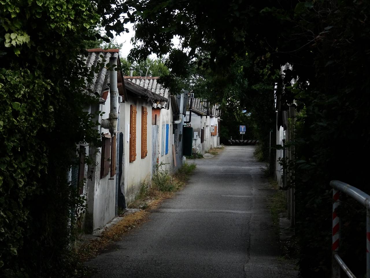 DSC00736_%281280_x_1024%29