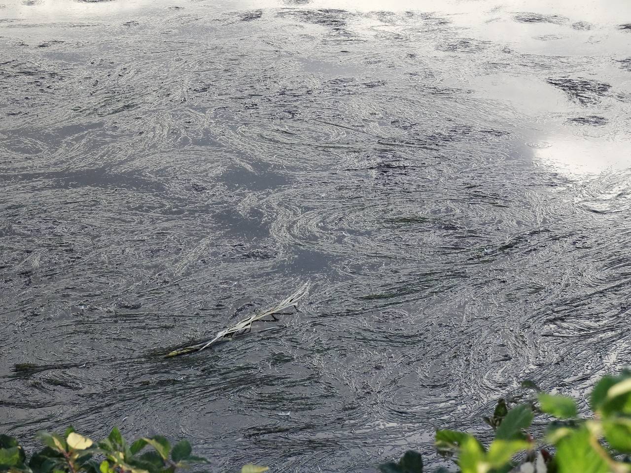 DSC00778_%281280_x_1024%29