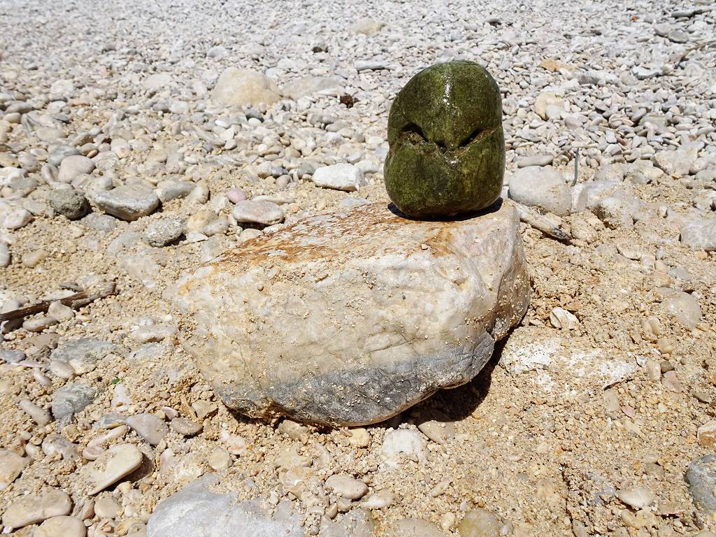 DSC01321_%281024_x_768%29