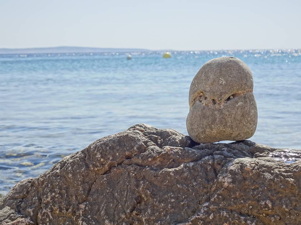 DSC01406_%281024_x_768%29