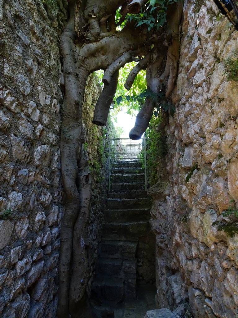 DSC01482_%281024_x_768%29