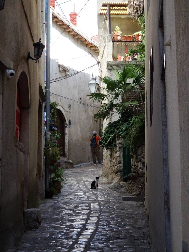 DSC01487_%281024_x_768%29