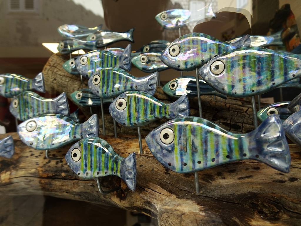 DSC01517_%281024_x_768%29