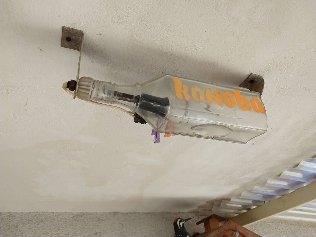 IMG_20210901_090223046_%281024_x_768%29