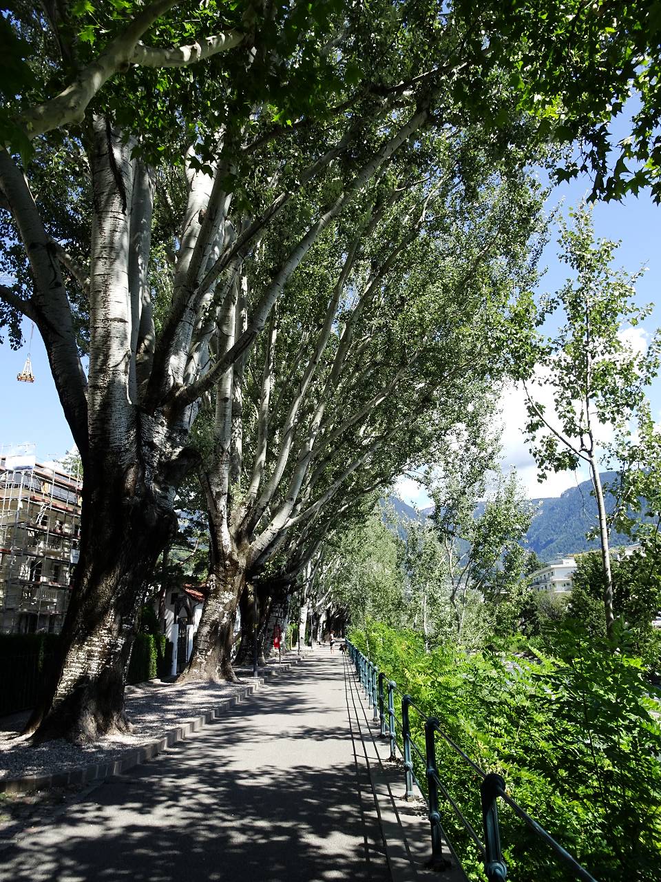 DSC00257_%281280_x_1024%29