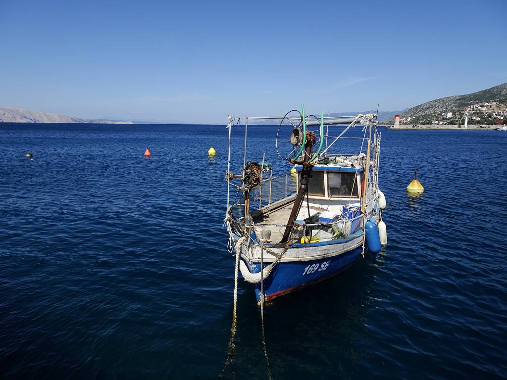 DSC01602_%281024_x_768%29