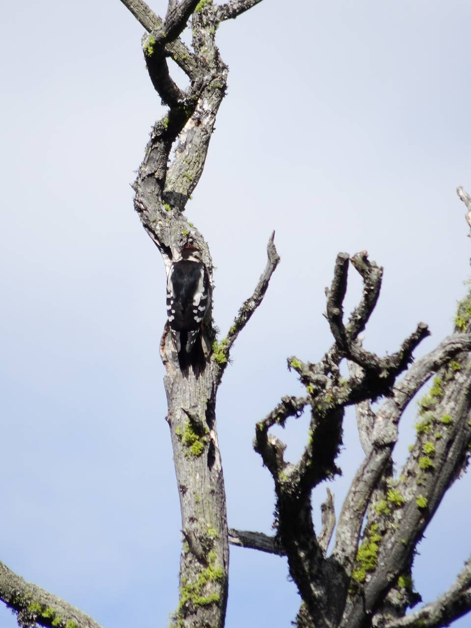 DSC00008_%281280_x_1024%29