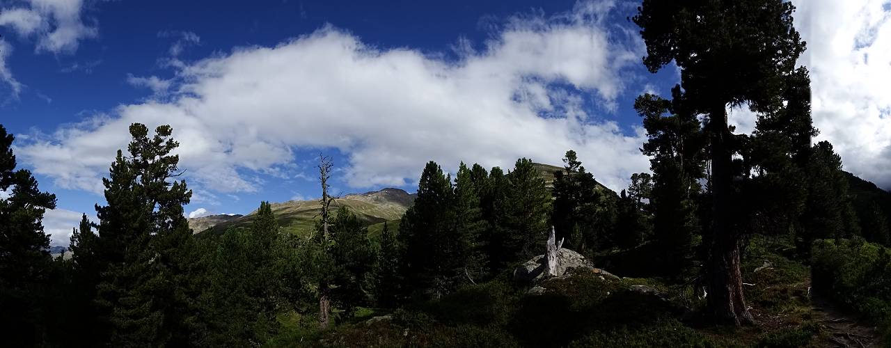 DSC00012_%281280_x_1024%29