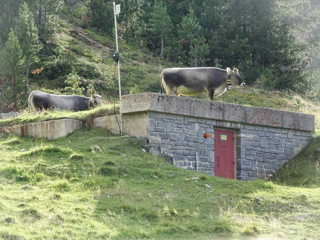 DSC00020_%281280_x_1024%29