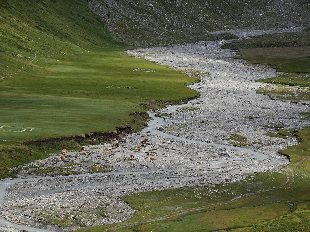 DSC00058_%281280_x_1024%29