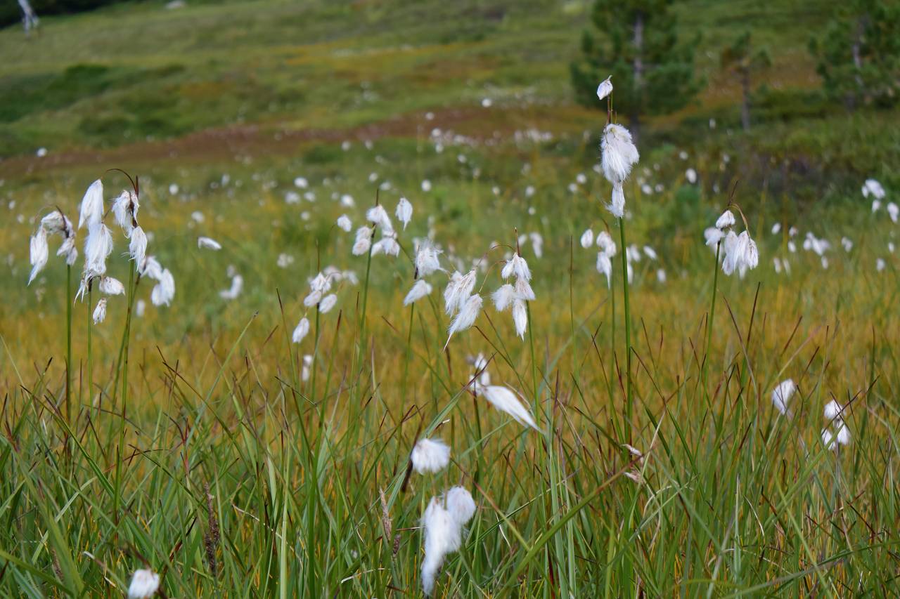 DSC_1271_%281280_x_1024%29