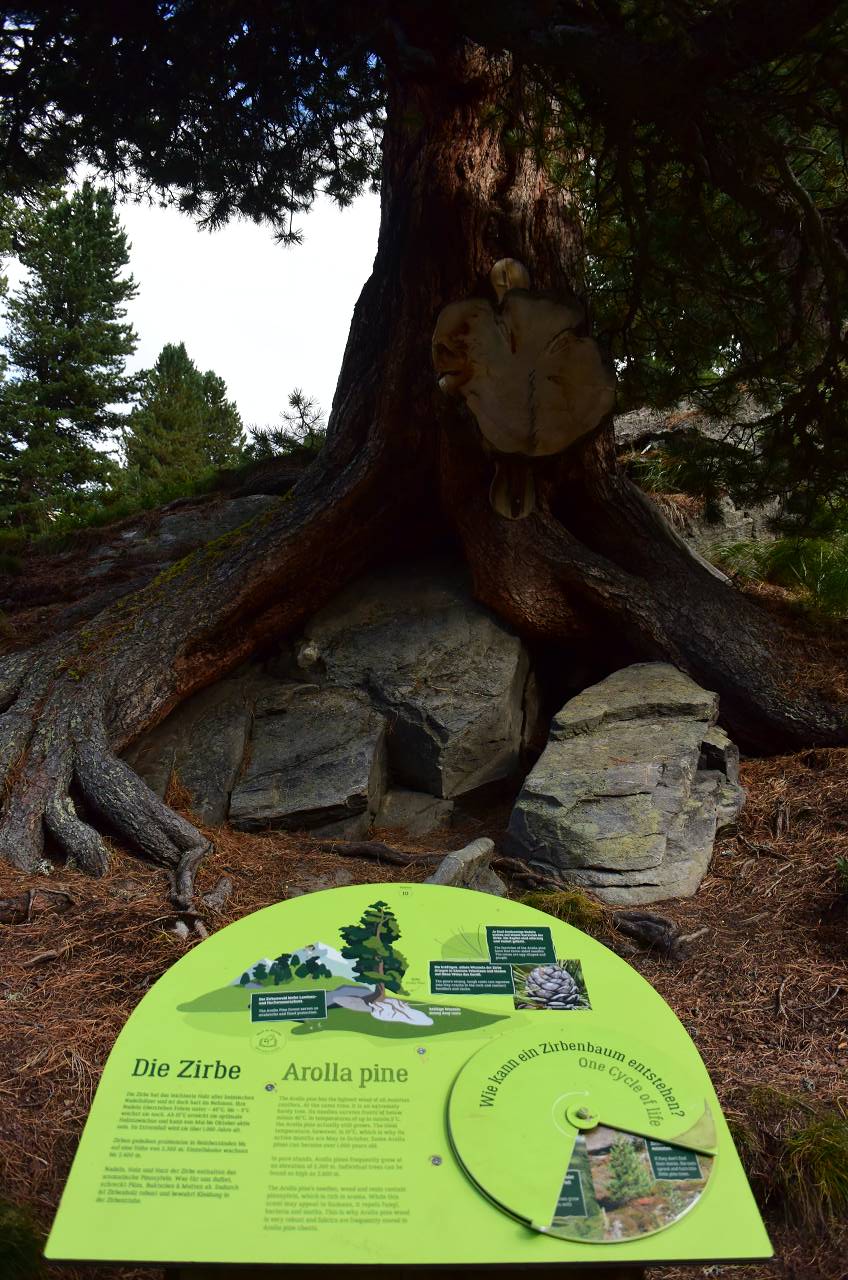 DSC_1281_%281280_x_1024%29