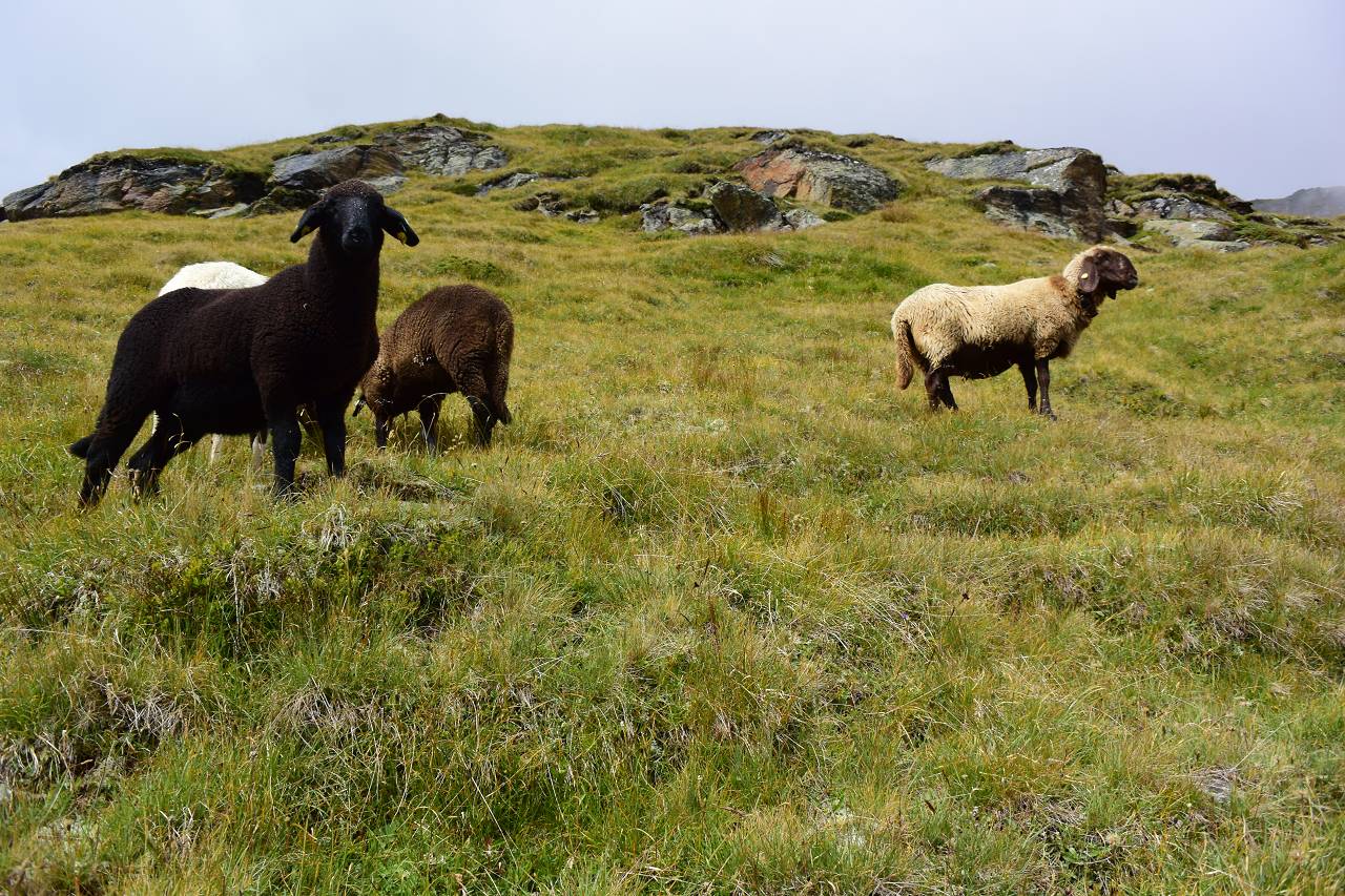 DSC_1364_%281280_x_1024%29