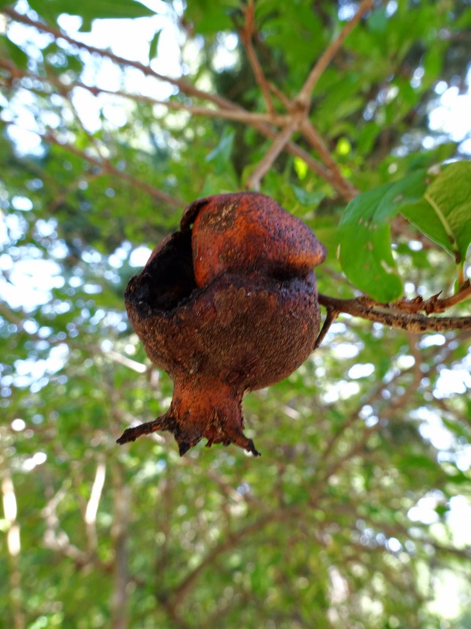 DSC02759_%281280_x_1024%29