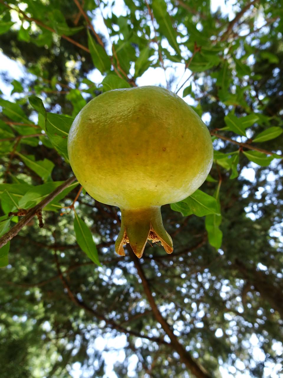 DSC02760_%281280_x_1024%29