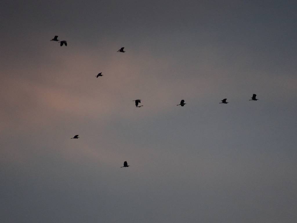 DSC02167_%281024_x_768%29