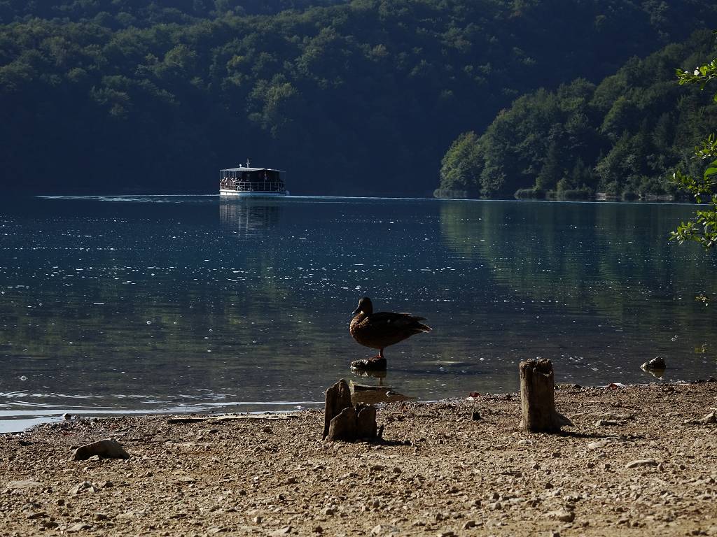 DSC01677_%281024_x_768%29