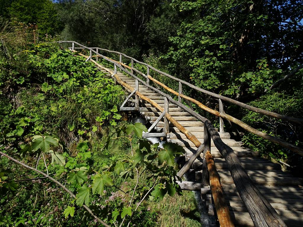 DSC01698_%281024_x_768%29