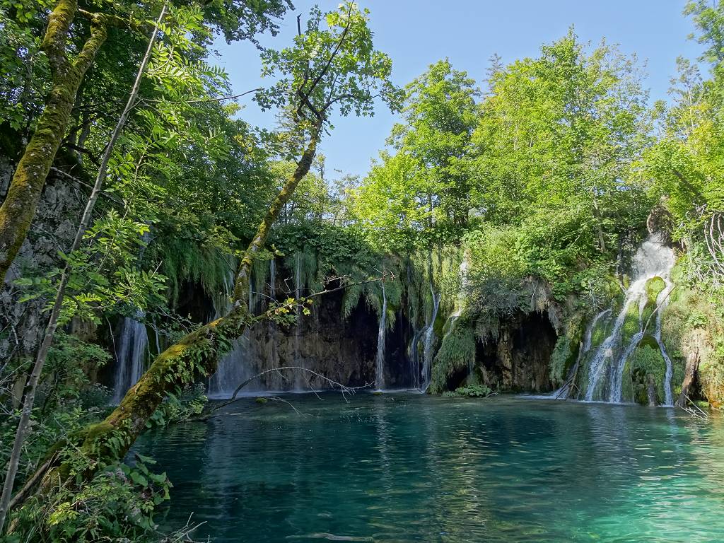 DSC01735_%281024_x_768%29