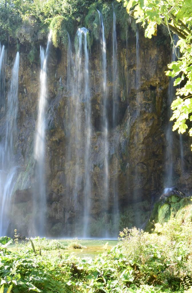 DSC_2100_%281024_x_768%29