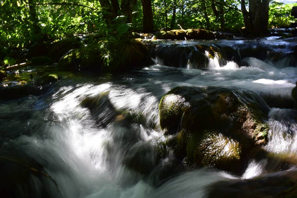 DSC_2202_%281024_x_768%29