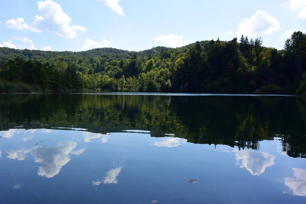 DSC_2260_%281024_x_768%29