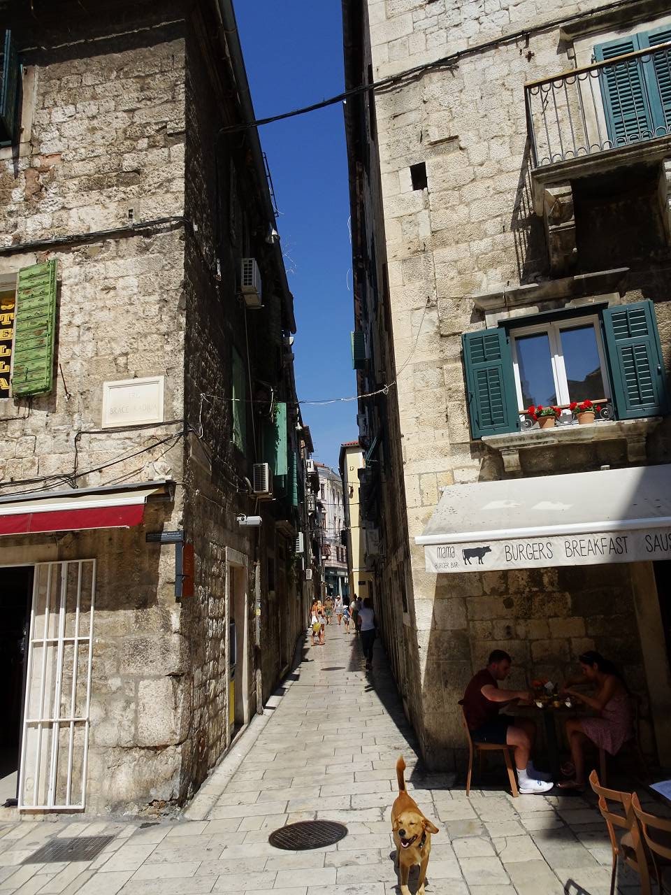 DSC02433_%281280_x_1024%29