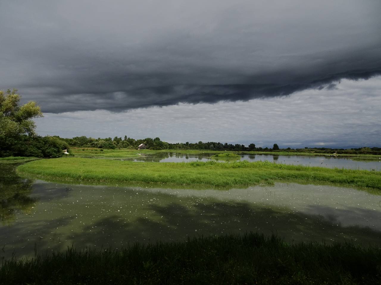 DSC00884_%281280_x_1024%29