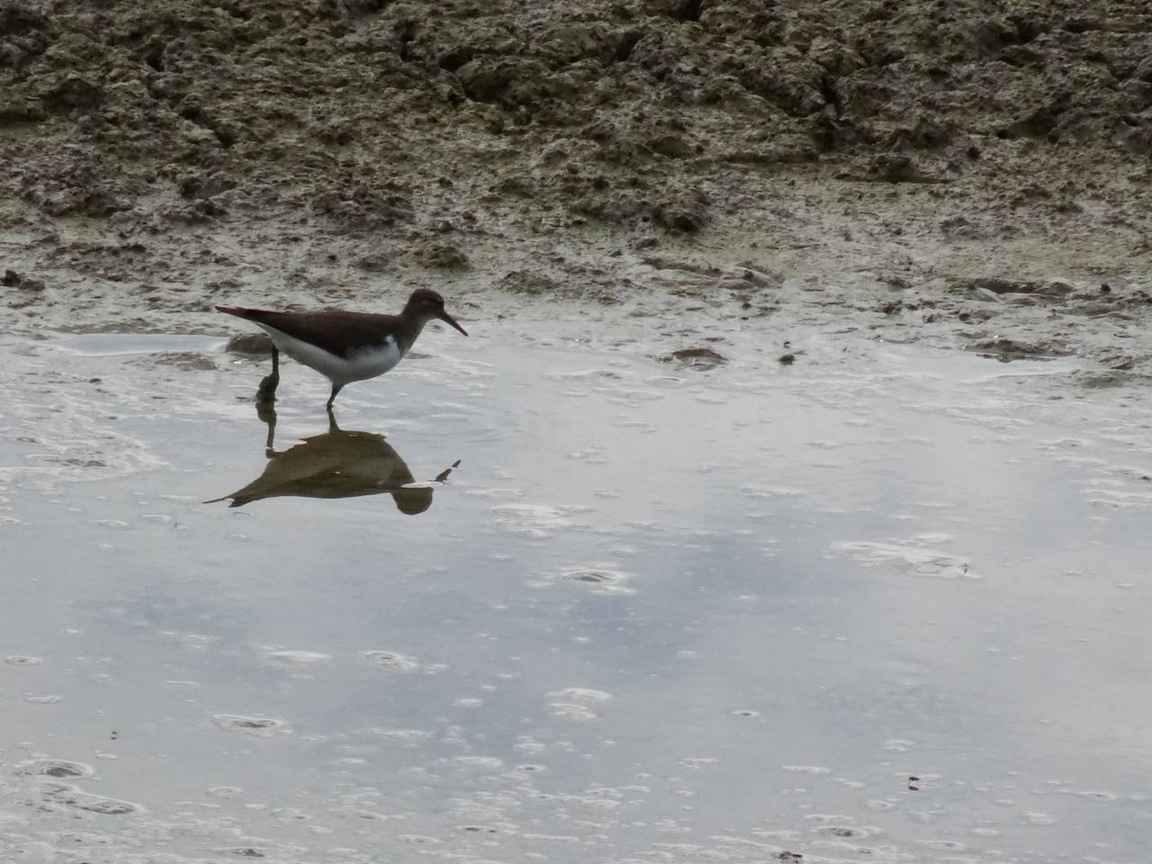 DSC00906_%281280_x_1024%29