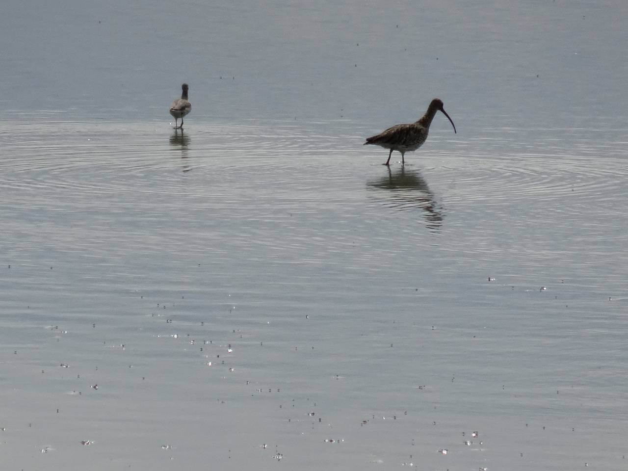 DSC00925_%281280_x_1024%29