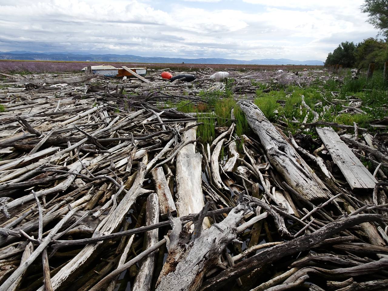 DSC00946_%281280_x_1024%29