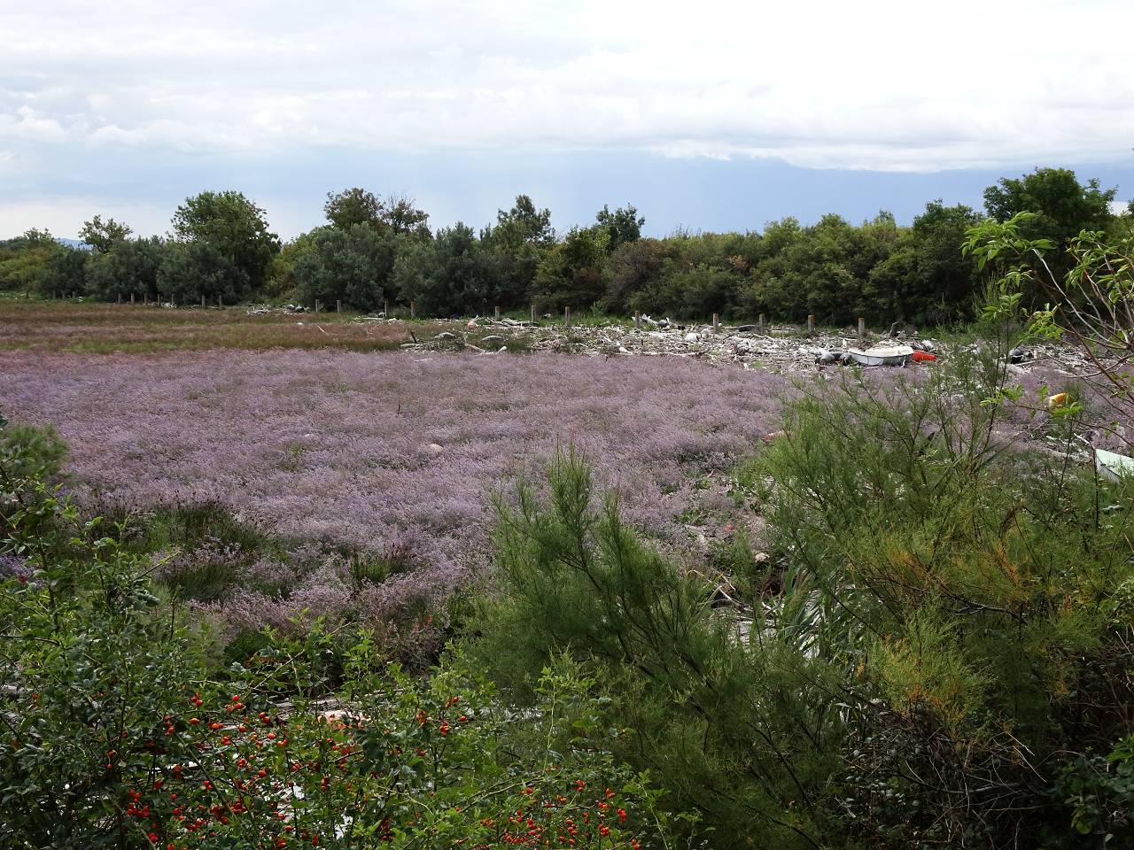 DSC00952_%281280_x_1024%29