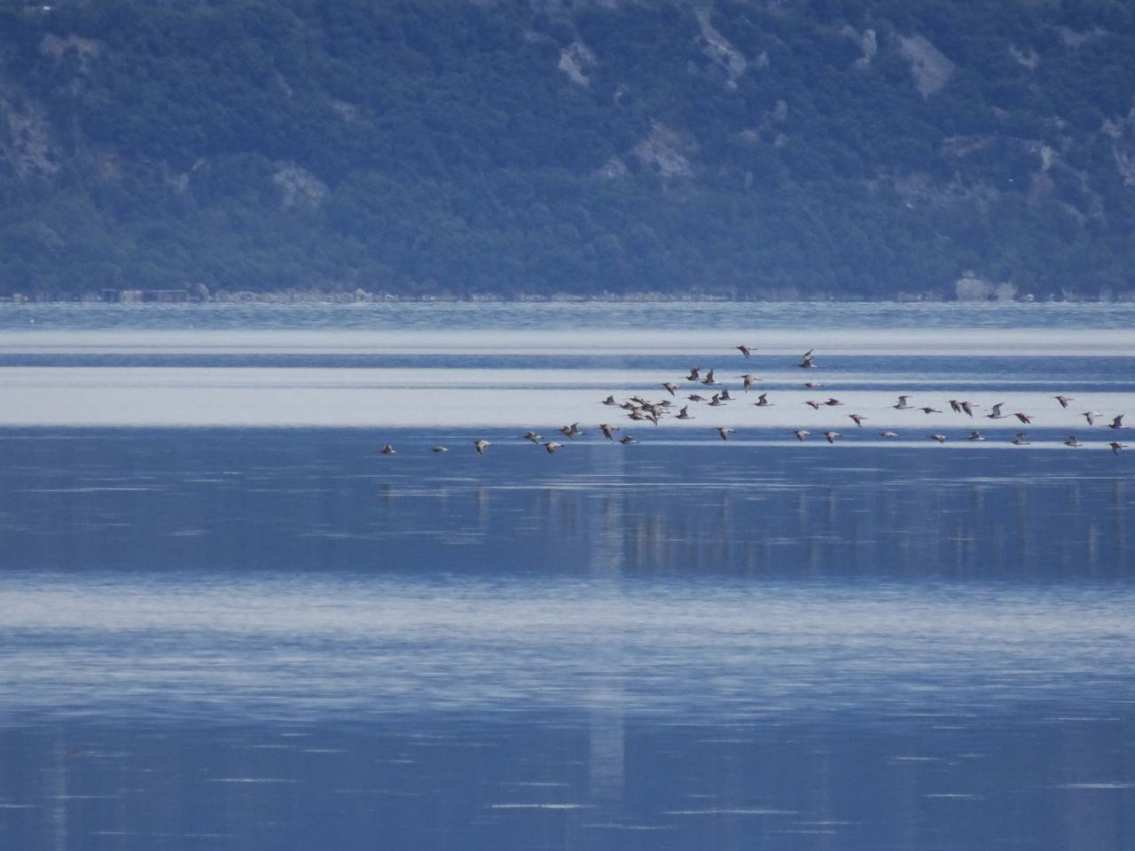 DSC00958_%281280_x_1024%29