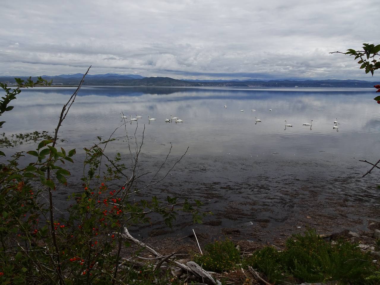 DSC00967_%281280_x_1024%29