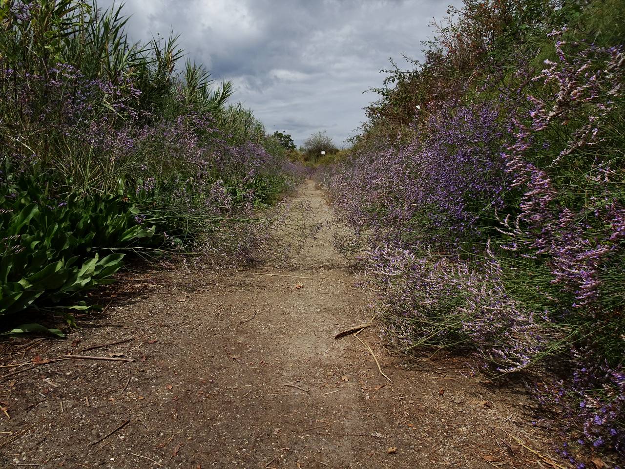 DSC00999_%281280_x_1024%29