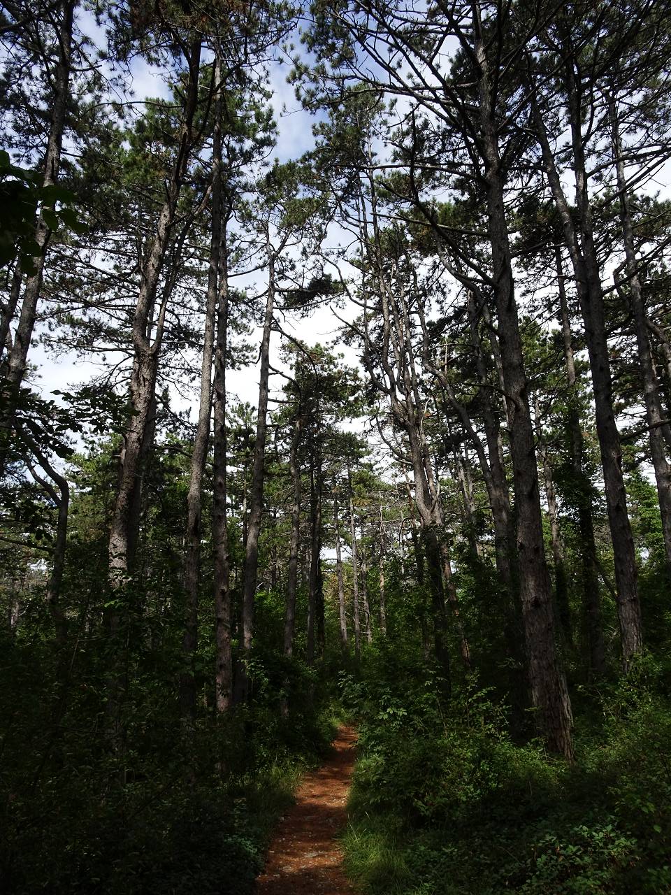 DSC01200_%281280_x_1024%29