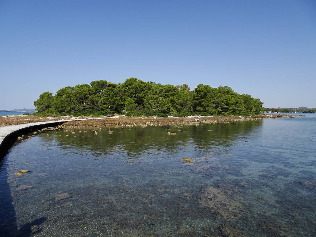 DSC02219_%281024_x_768%29