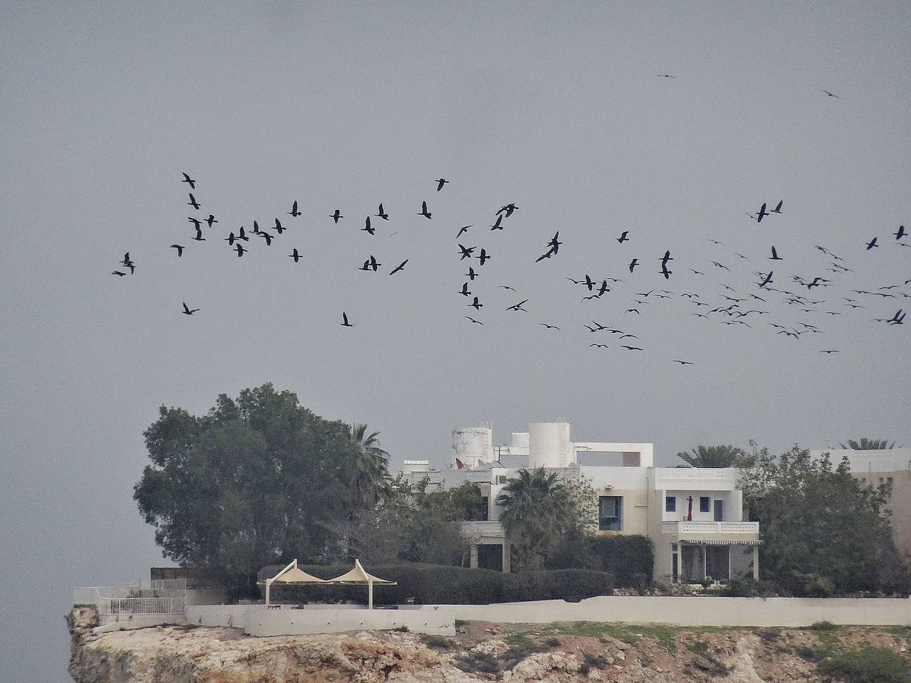 DSC05640_%281280_x_1024%29