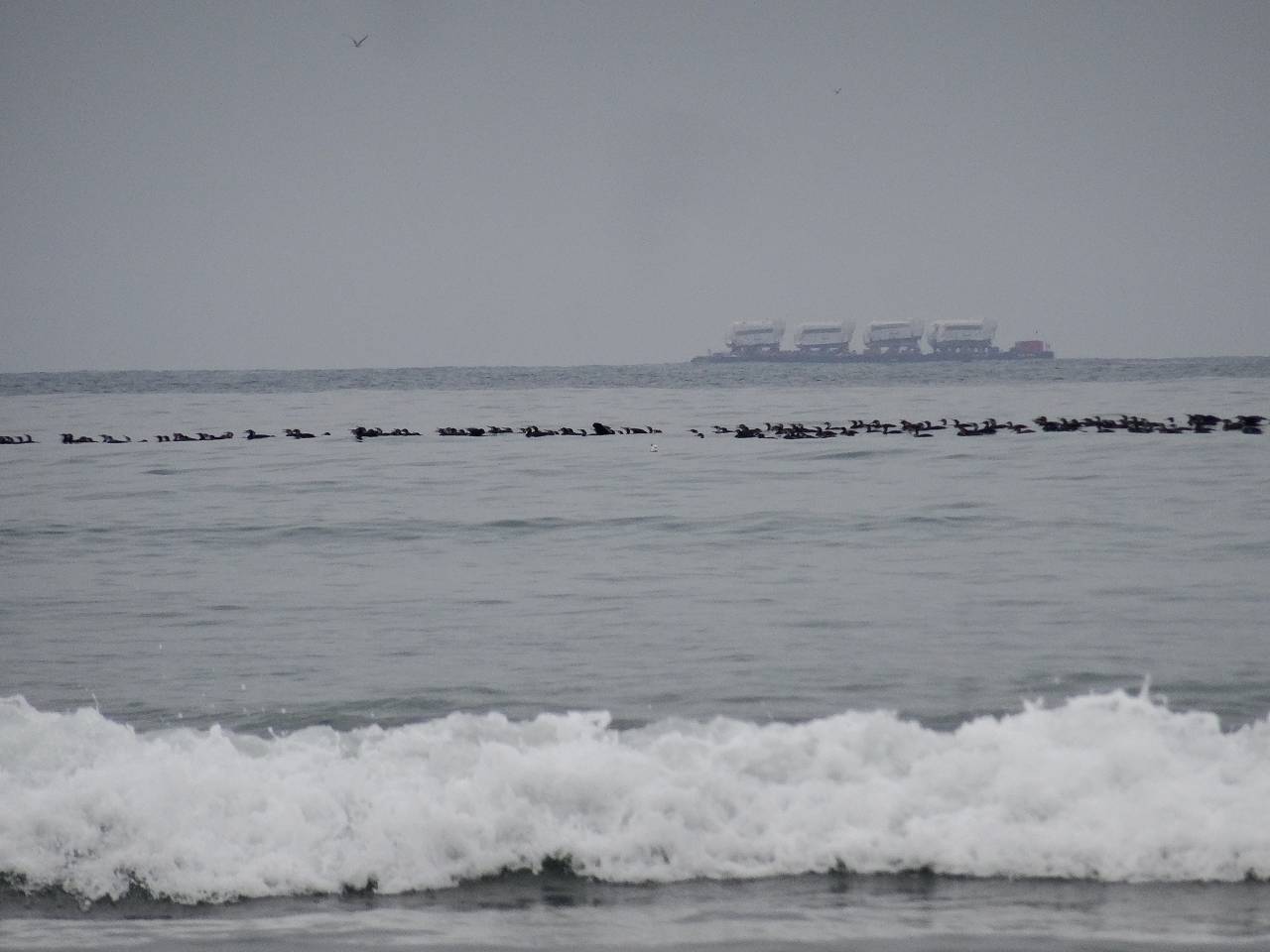 DSC05683_%281280_x_1024%29