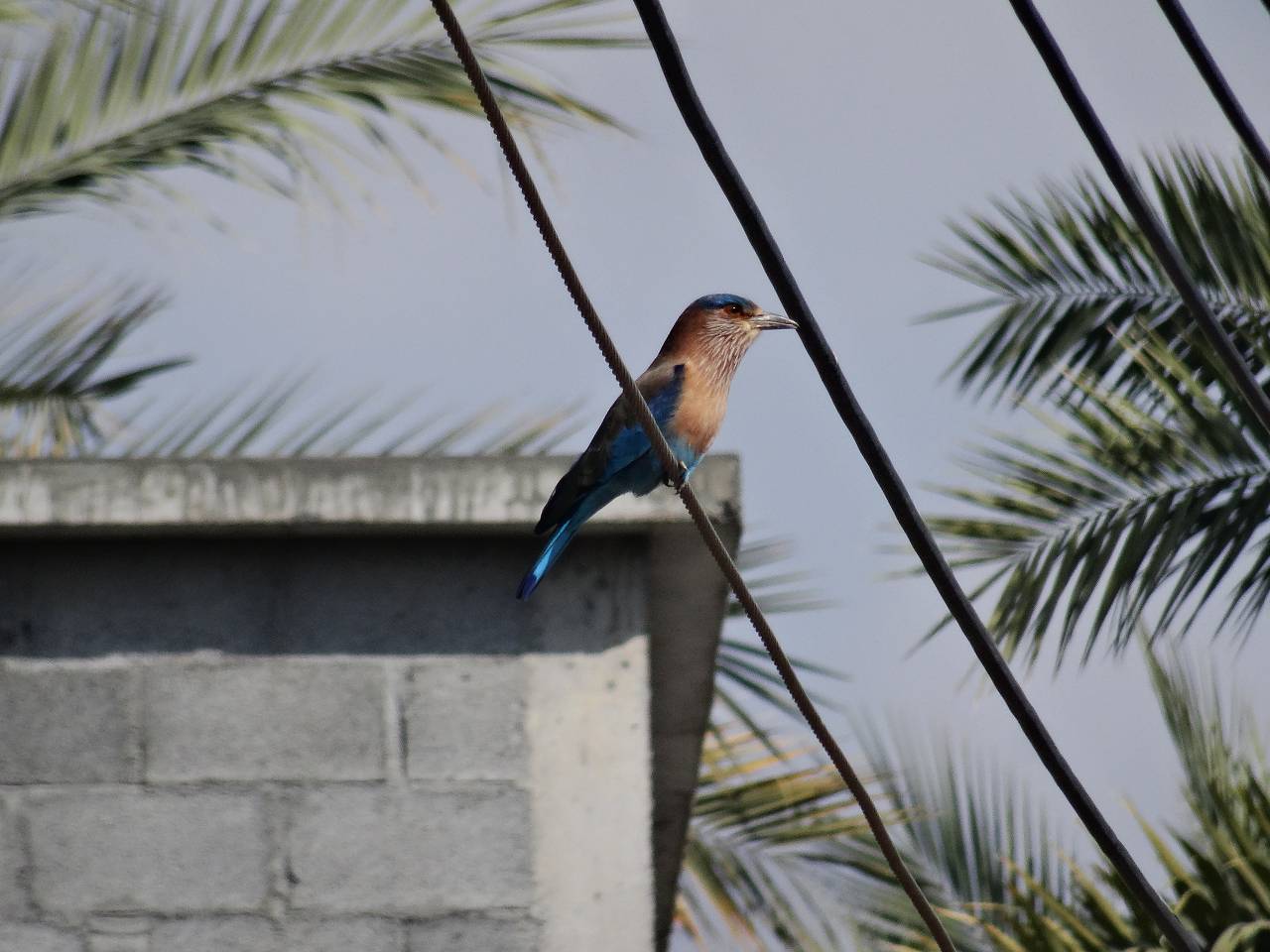 DSC05986_%281280_x_1024%29