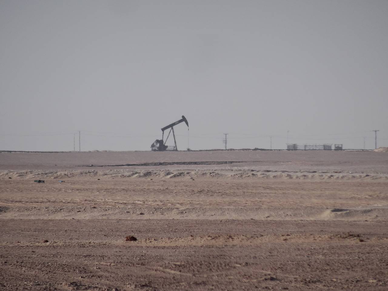 DSC06319_%281280_x_1024%29