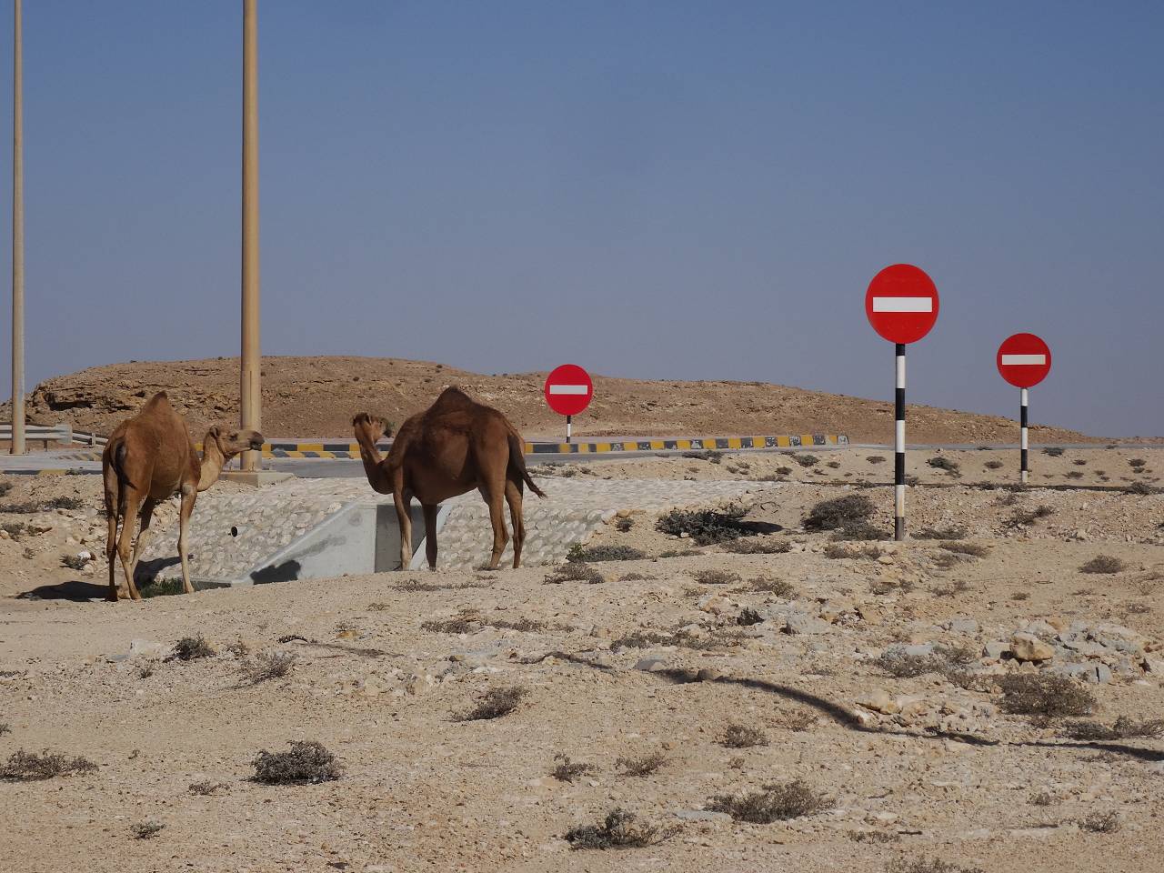 DSC06395_%281280_x_1024%29