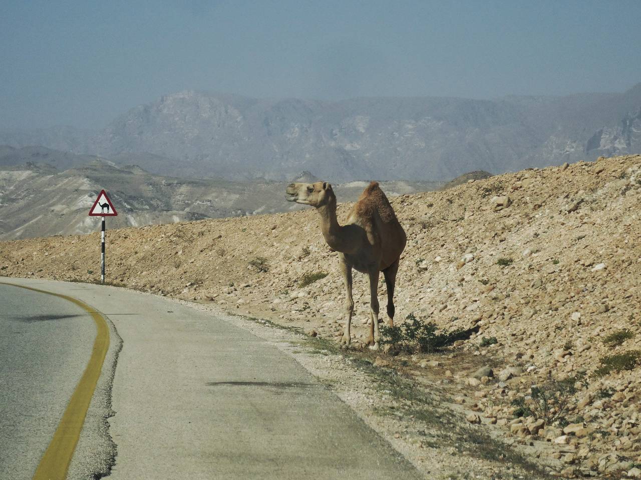 DSC06508_%281280_x_1024%29