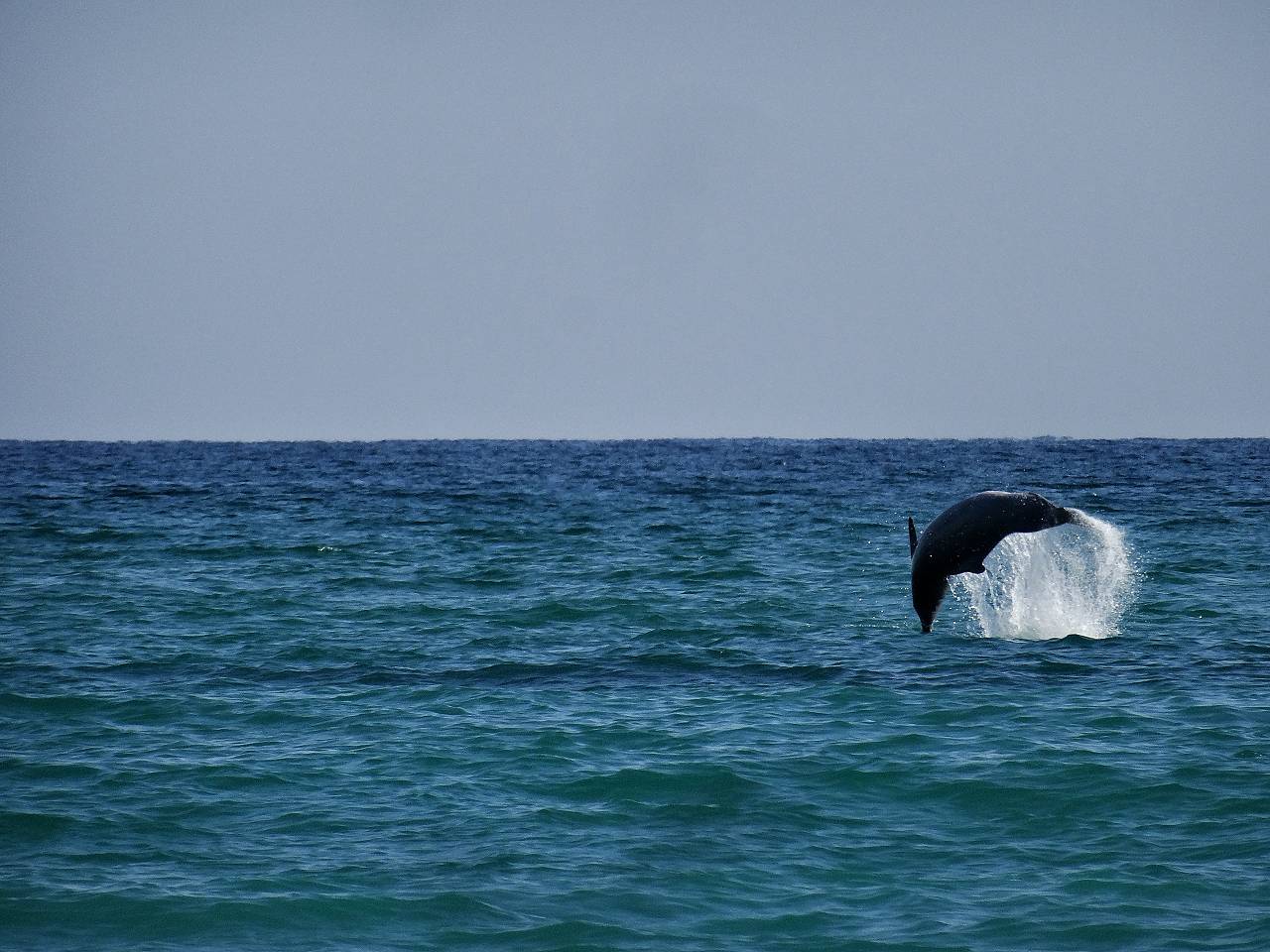 DSC06706_%281280_x_1024%29